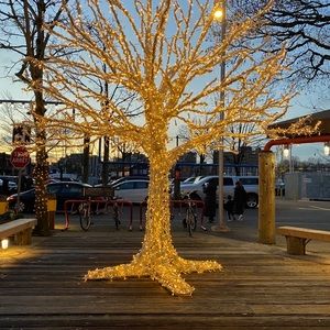 Meet your Posher, Heidi